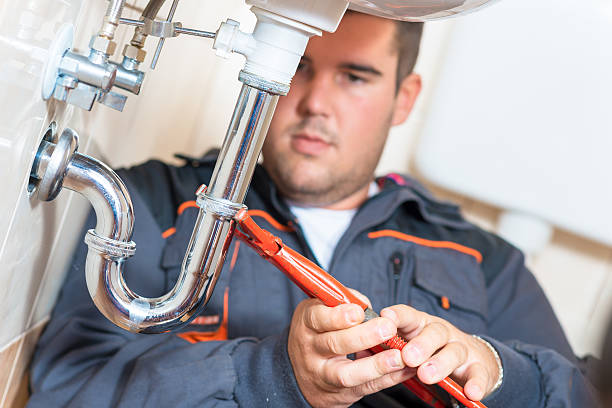 Best Garbage Disposal Repair and Installation  in Waimea, HI